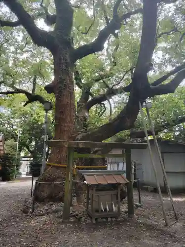 箕曲中松原神社(三重県)