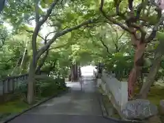 道場寺の周辺