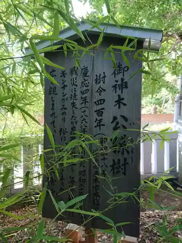 東神奈川熊野神社の歴史