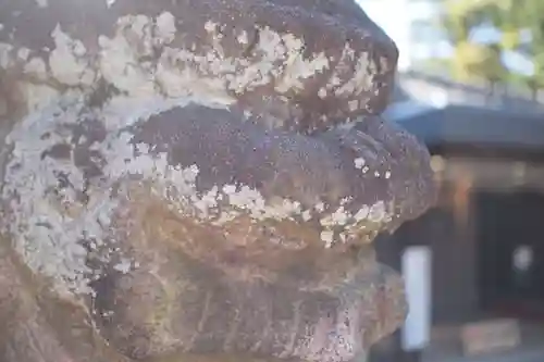 狭山八幡神社の自然