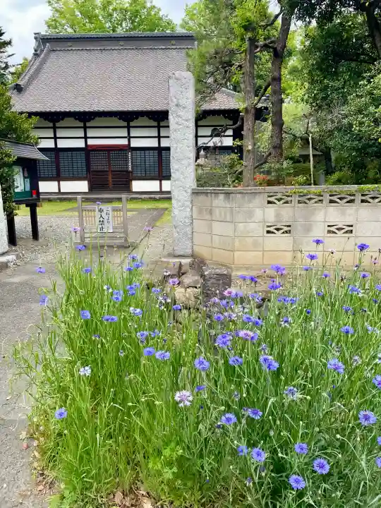 永泉寺の{uncategorized: "未分類", other: "その他", undefined: "問題あり", building: "その他建物", grave: "お墓", sacred_gate: "鳥居", guardian: "狛犬", statue: "像", buddha: "仏像", history: "歴史", nature: "自然", garden: "庭園", animal: "動物", pagoda: "塔", temizu: "手水舎", mountain_gate: "山門・神門", sanctuary: "本殿・本堂", subordinate: "末社・摂社", art: "芸術", scenery: "景色", jizo: "地蔵", ema: "絵馬", goshuin: "御朱印", omikuji: "おみくじ", items: "授与品その他", amulet: "お守り", goshuincho: "御朱印帳", eats: "食事", festival: "お祭り", votive_dance: "神楽", shichigosan: "七五三参", wedding: "結婚式", experience: "体験その他", initially: "初詣", around: "周辺", anti_infection: "感染症対策"}