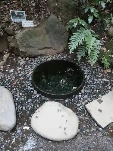 明治神宮の庭園