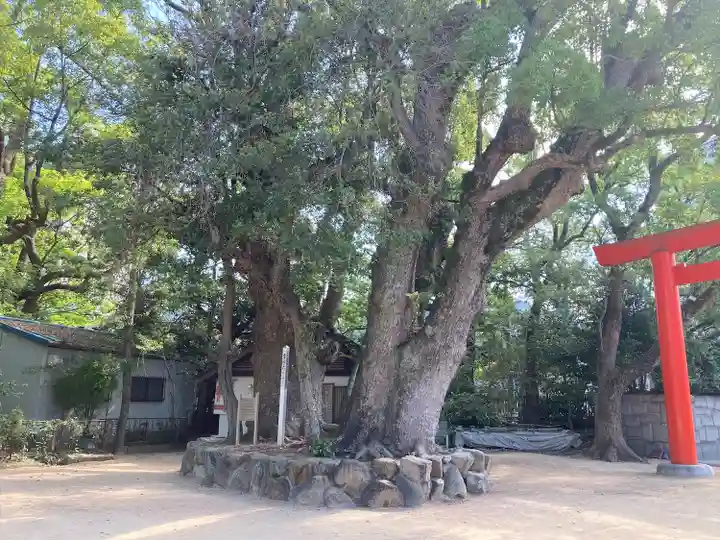 長田神社(兵庫県)