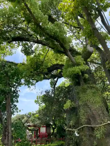 三嶋大社の{uncategorized: "未分類", other: "その他", undefined: "問題あり", building: "その他建物", grave: "お墓", sacred_gate: "鳥居", guardian: "狛犬", statue: "像", buddha: "仏像", history: "歴史", nature: "自然", garden: "庭園", animal: "動物", pagoda: "塔", temizu: "手水舎", mountain_gate: "山門・神門", sanctuary: "本殿・本堂", subordinate: "末社・摂社", art: "芸術", scenery: "景色", jizo: "地蔵", ema: "絵馬", goshuin: "御朱印", omikuji: "おみくじ", items: "授与品その他", amulet: "お守り", goshuincho: "御朱印帳", eats: "食事", festival: "お祭り", votive_dance: "神楽", shichigosan: "七五三参", wedding: "結婚式", experience: "体験その他", initially: "初詣", around: "周辺", anti_infection: "感染症対策"}