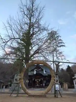 賀羅加波神社の本殿・本堂