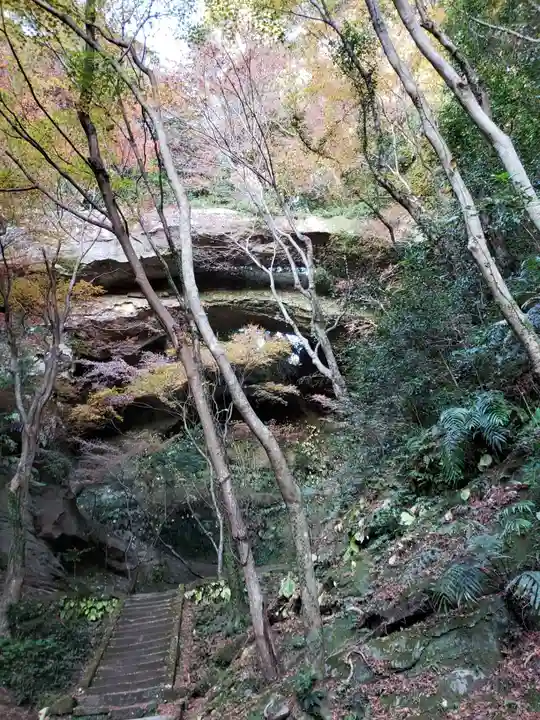 御橋観音寺の自然