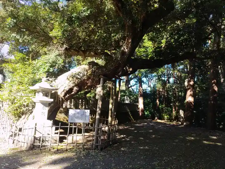 莫越山神社(千葉県)