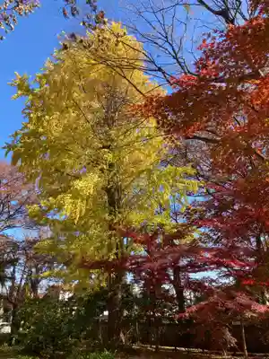 淨眞寺(東京都)
