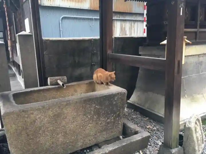 道祖神社の手水舎