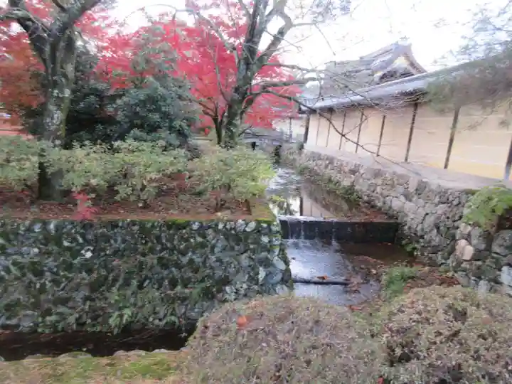 大覚寺(京都府)