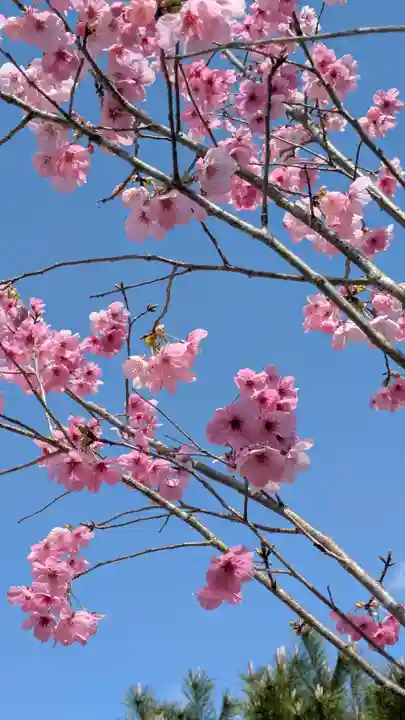宇治神社(京都府)