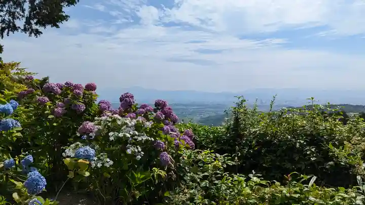 善峯寺(京都府)