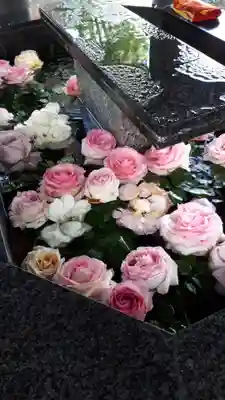 新琴似神社の手水舎