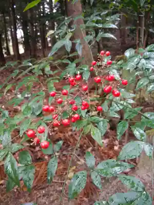 鹿島大神宮(福島県)