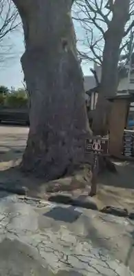 神明神社（錦町）(山形県)