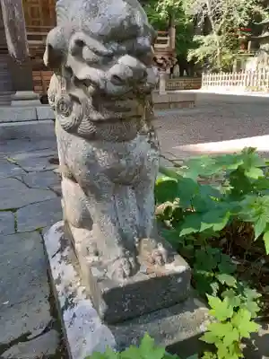 横山不動尊の狛犬