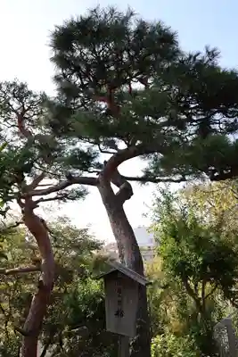 清立院(東京都)