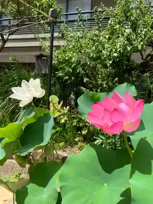 生田神社(兵庫県)