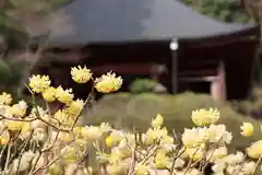 法雲寺の自然