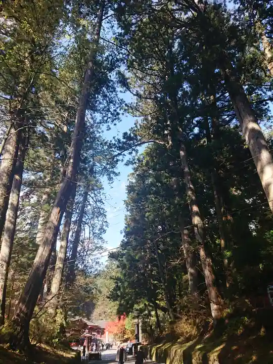 日光二荒山神社の自然