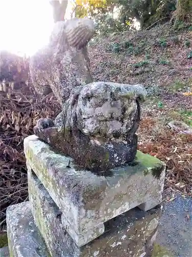 釜屋神社の狛犬