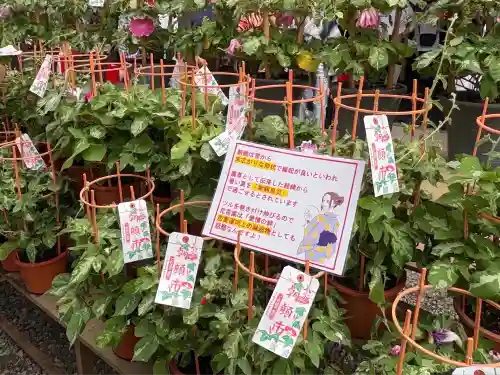 真源寺（入谷鬼子母神）(東京都)