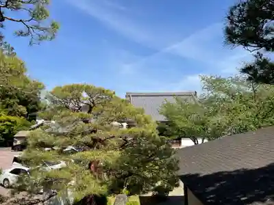 光明寺（粟生光明寺）(京都府)
