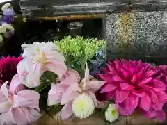 新琴似神社の手水