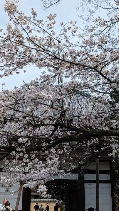 本法寺(京都府)