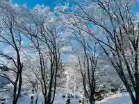 土津神社|こどもと出世の神さまの自然