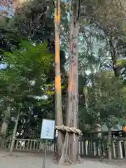 常陸第三宮　吉田神社(茨城県)