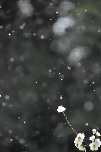 正安寺(神奈川県)