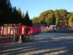 白山神社の鳥居