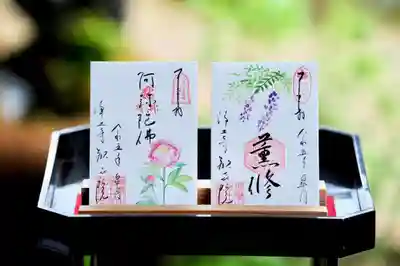 ・阿弥陀佛 (芍薬)
・薫修(藤)