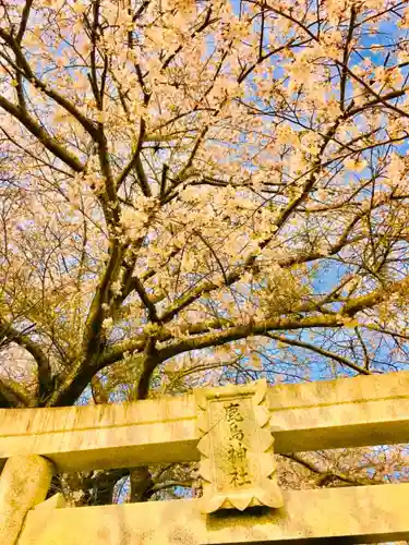 鹿嶋神社の自然
