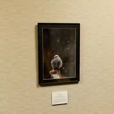 帯廣神社のその他建物