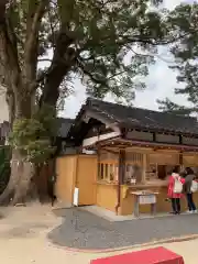 菅生神社の建物その他