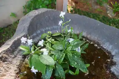 愛宕神社の手水舎