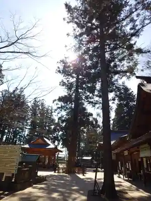 穂高神社本宮(長野県)