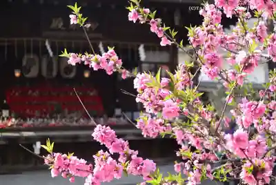 素盞雄神社(東京都)