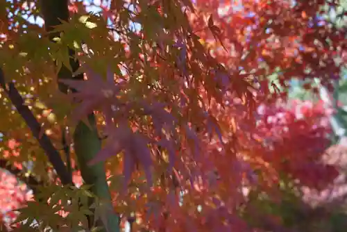 伊勢の国 四天王寺(三重県)