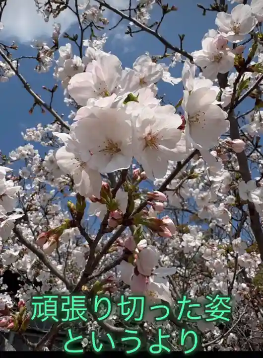 一乗院(和歌山県)