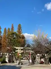 阿部野神社の鳥居