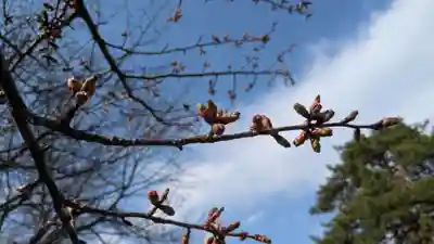 神居神社遥拝所の自然