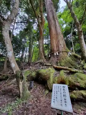 貴船神社(京都府)