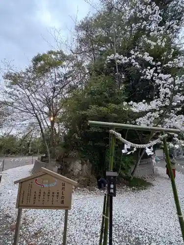 玉前神社(千葉県)