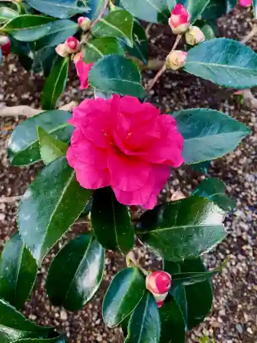 志波彦神社・鹽竈神社(宮城県)