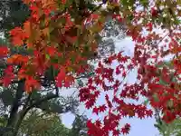 東寺(教王護国寺)の自然