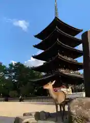 興福寺の塔