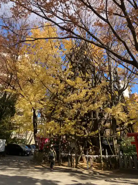 稲毛神社(神奈川県)
